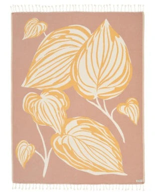 Maranta Blanket