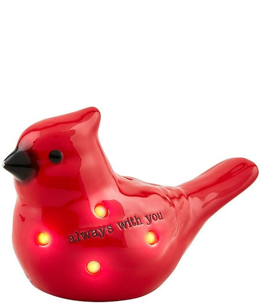 Cardinal Light-Up Sitter