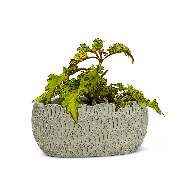 Small Oval Scallop Planter 5x8"