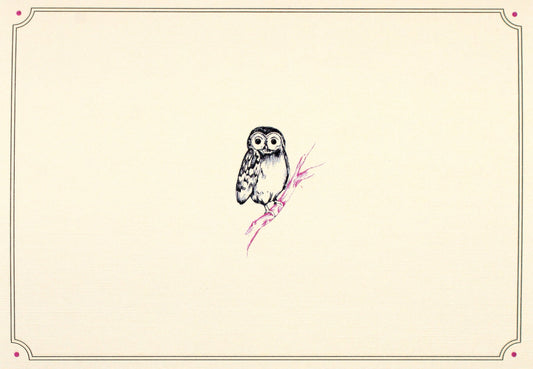 Owl Portrait Note Cards