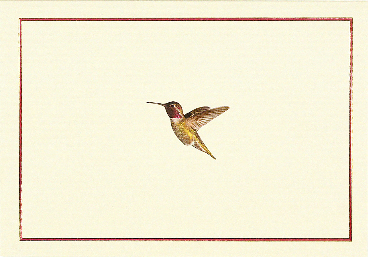 Note Card Hummingbird Flight