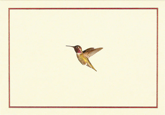 Note Card Hummingbird Flight