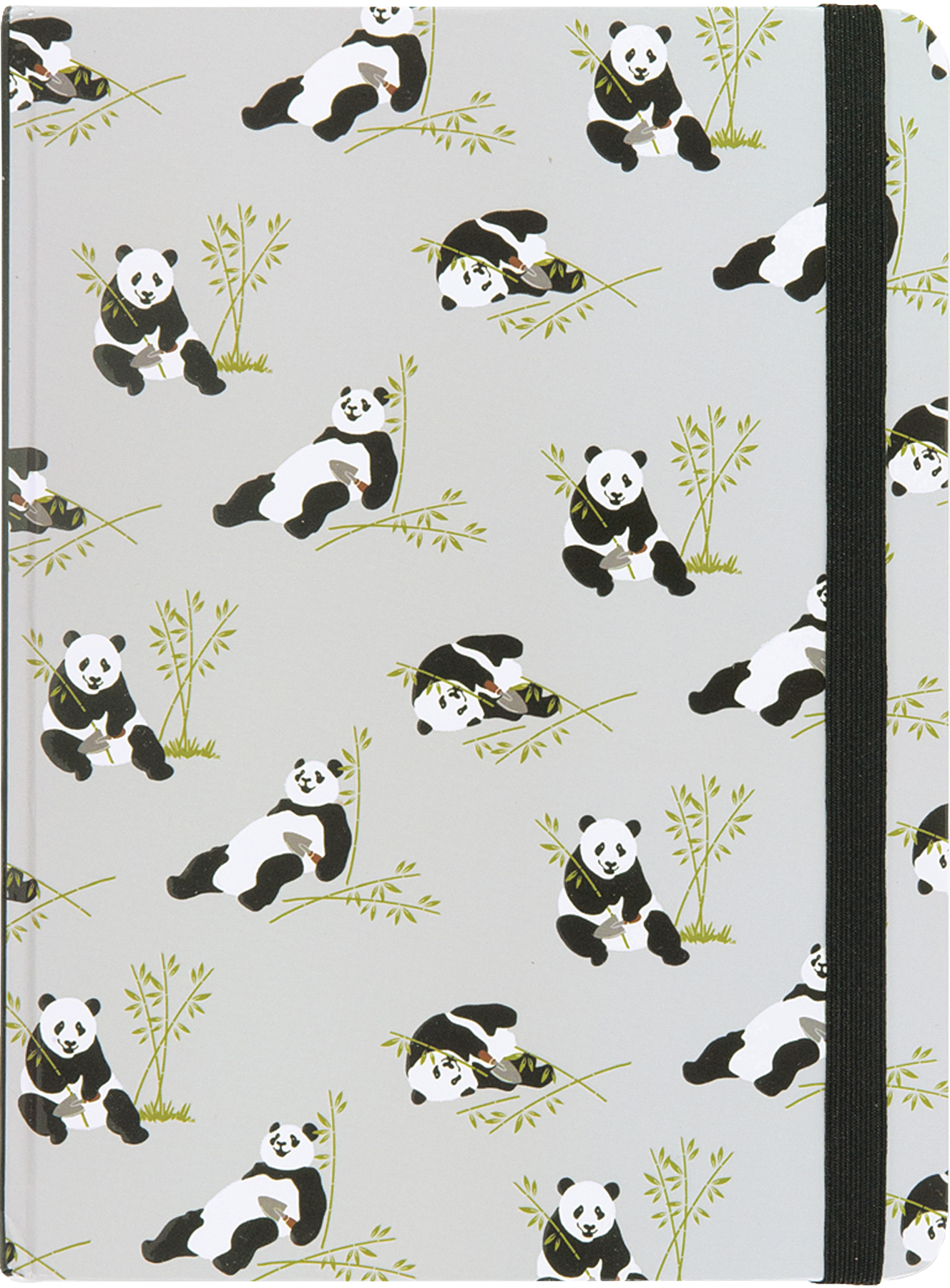 Journal Mid Pandas