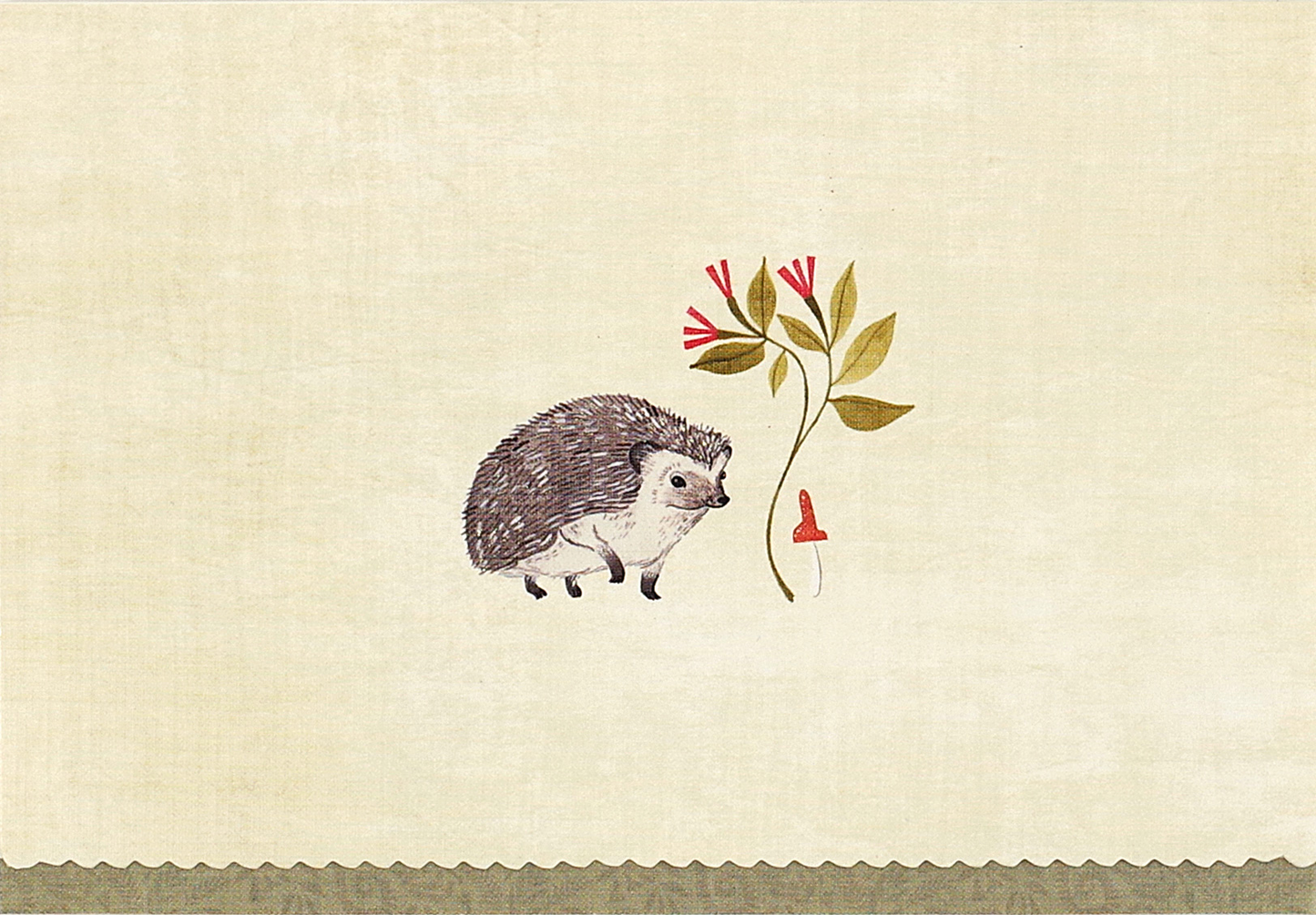 Note Cards Hedgehog