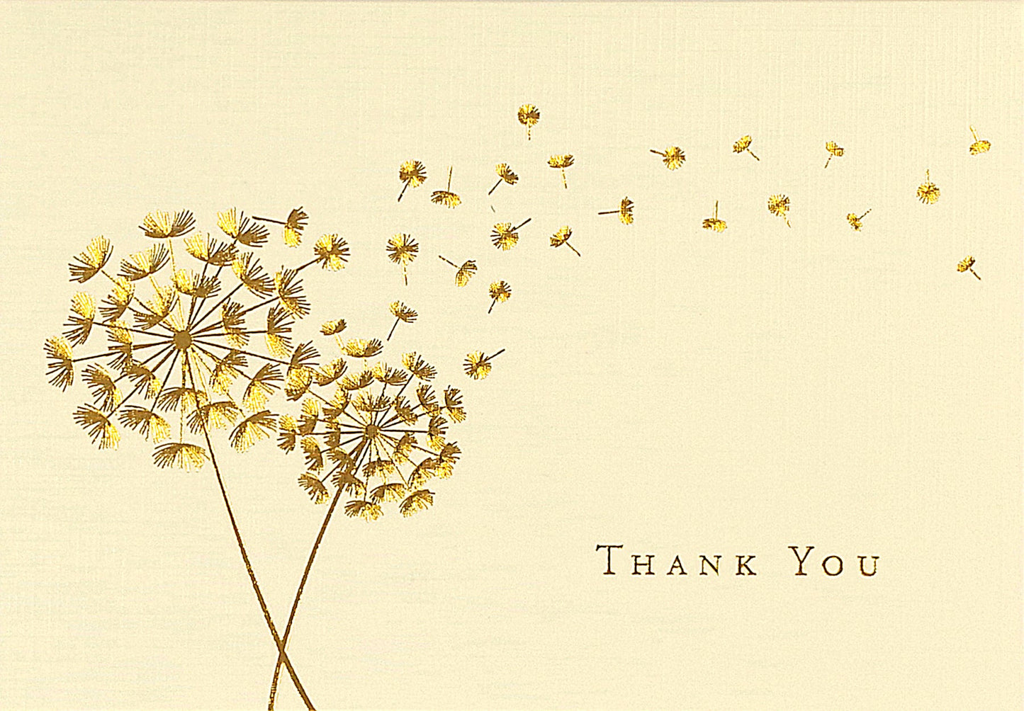 Thank You Notes Dandelion Wishes