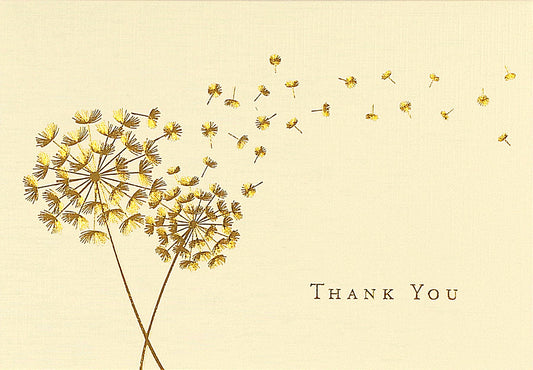 Thank You Notes Dandelion Wishes