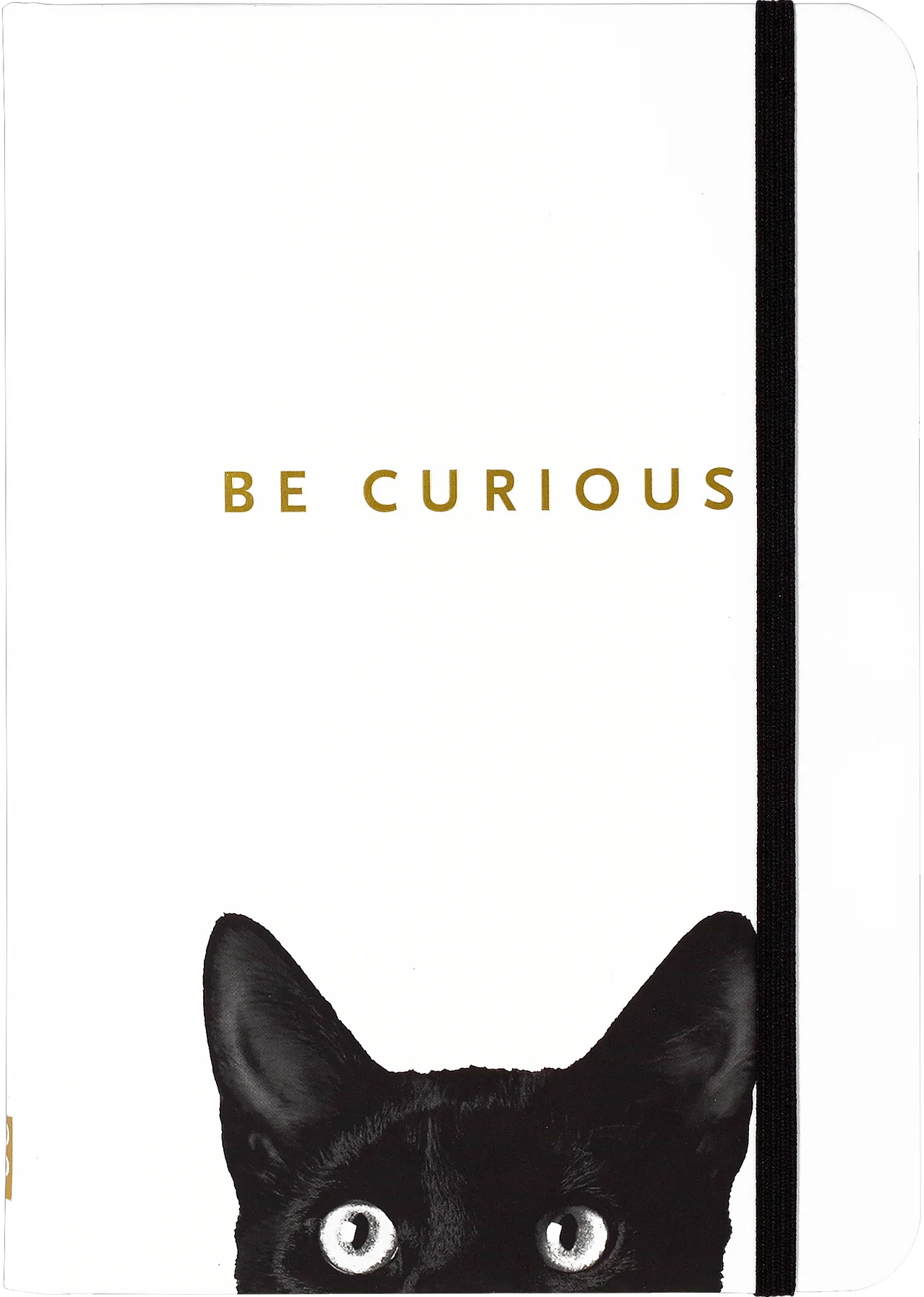 Curious Cat Journal - The Silver Dahlia