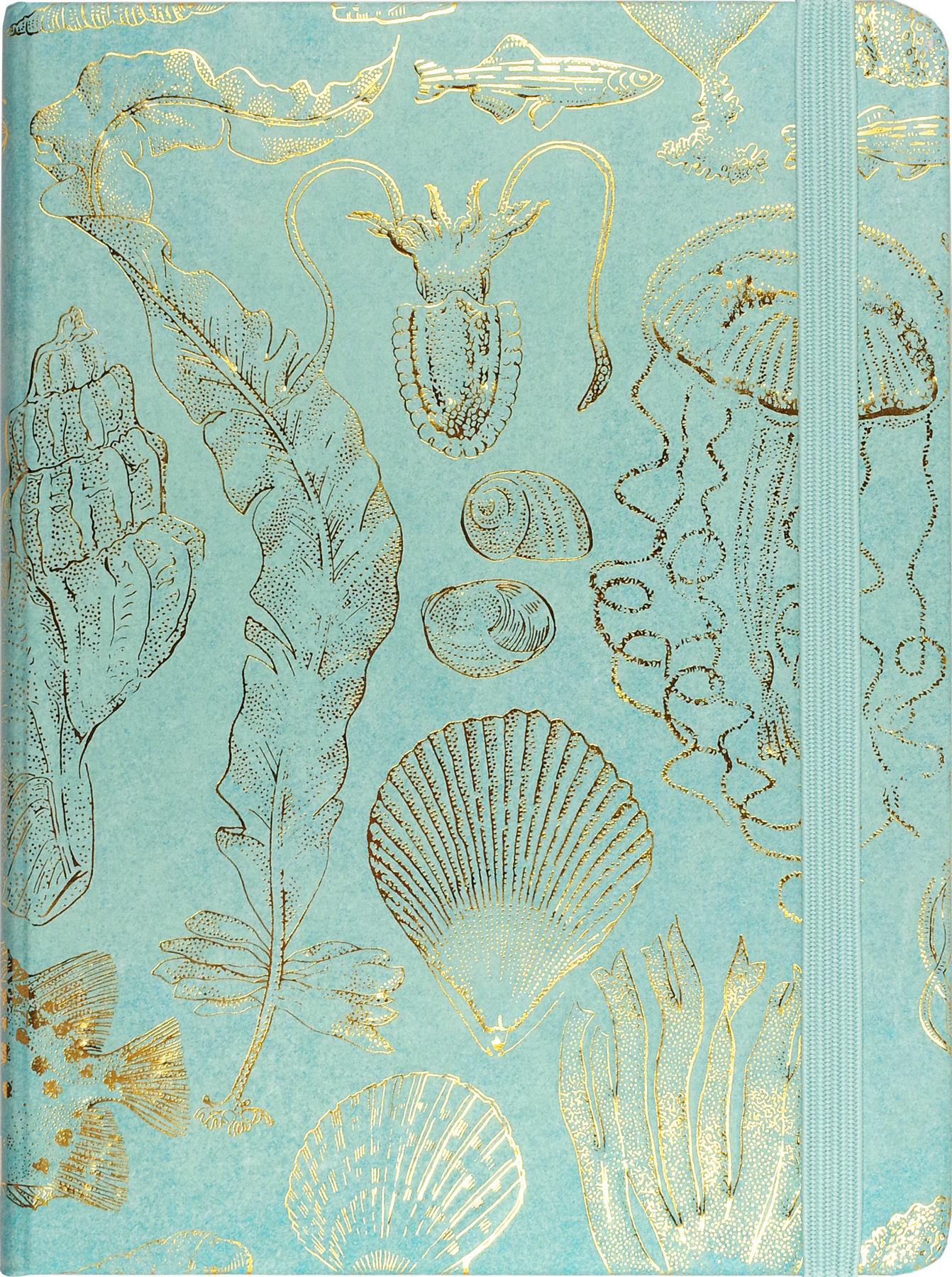 Sealife Sketches Journal