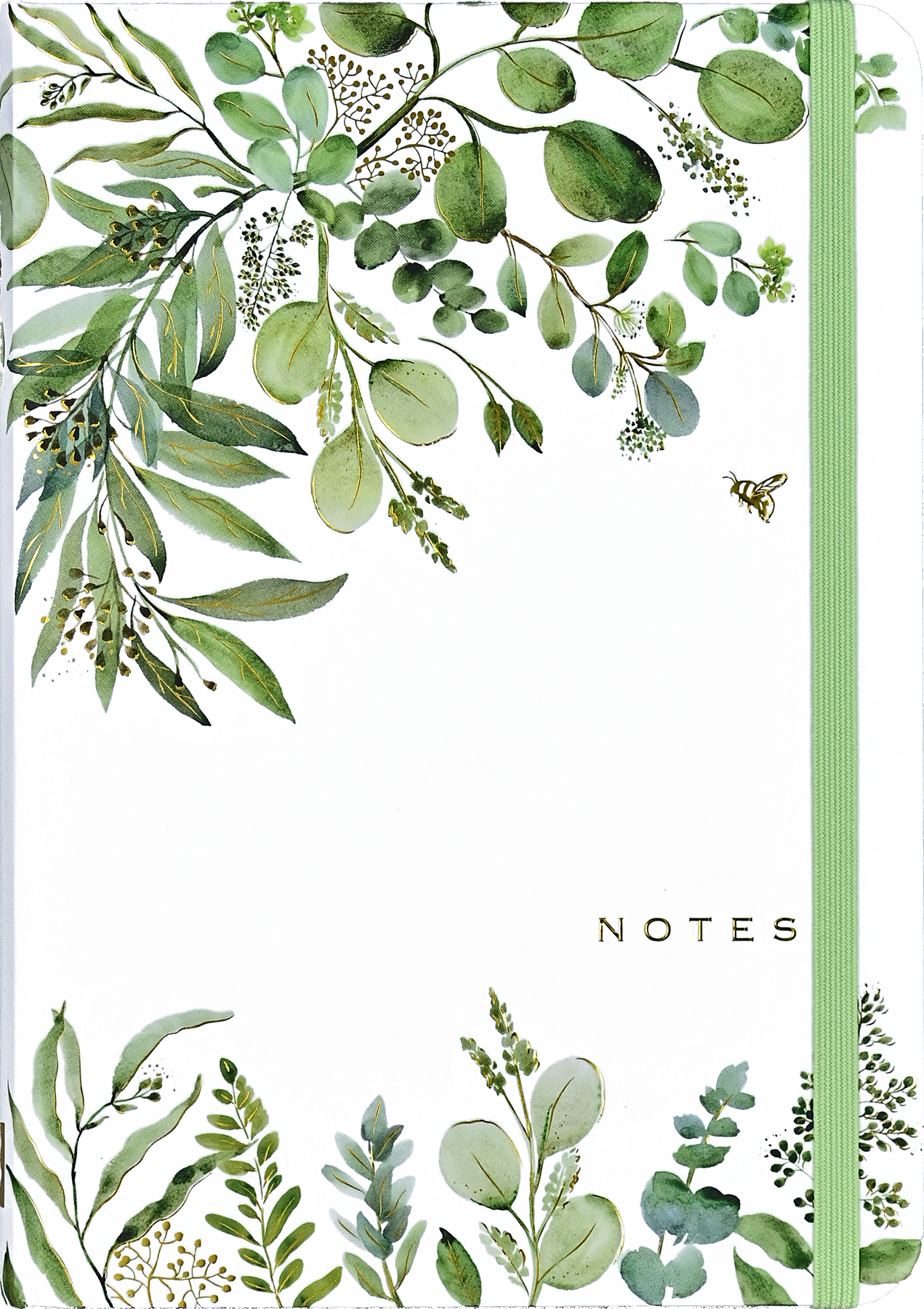 Eucalyptus Journal