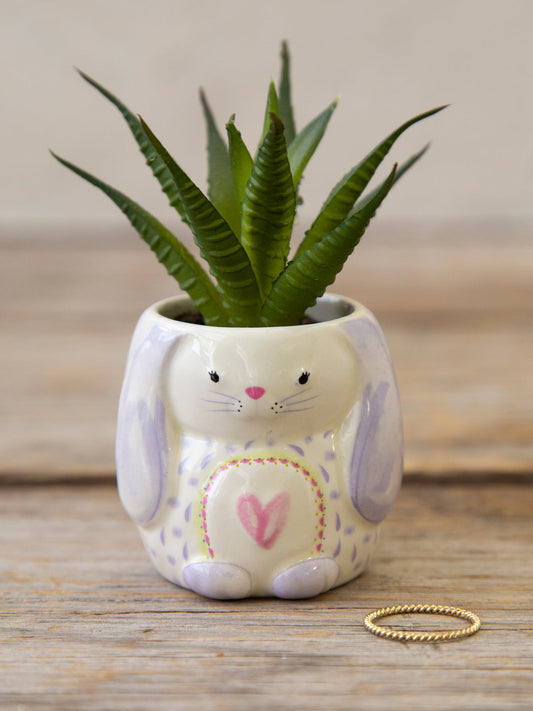 Critter Succulent Bunny