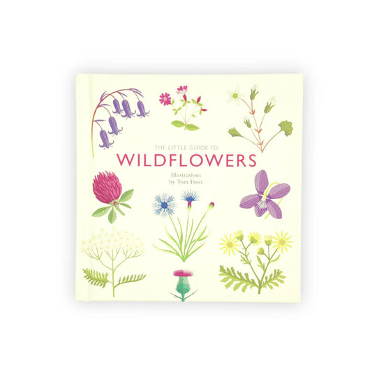 Little Guide to Wildflowers