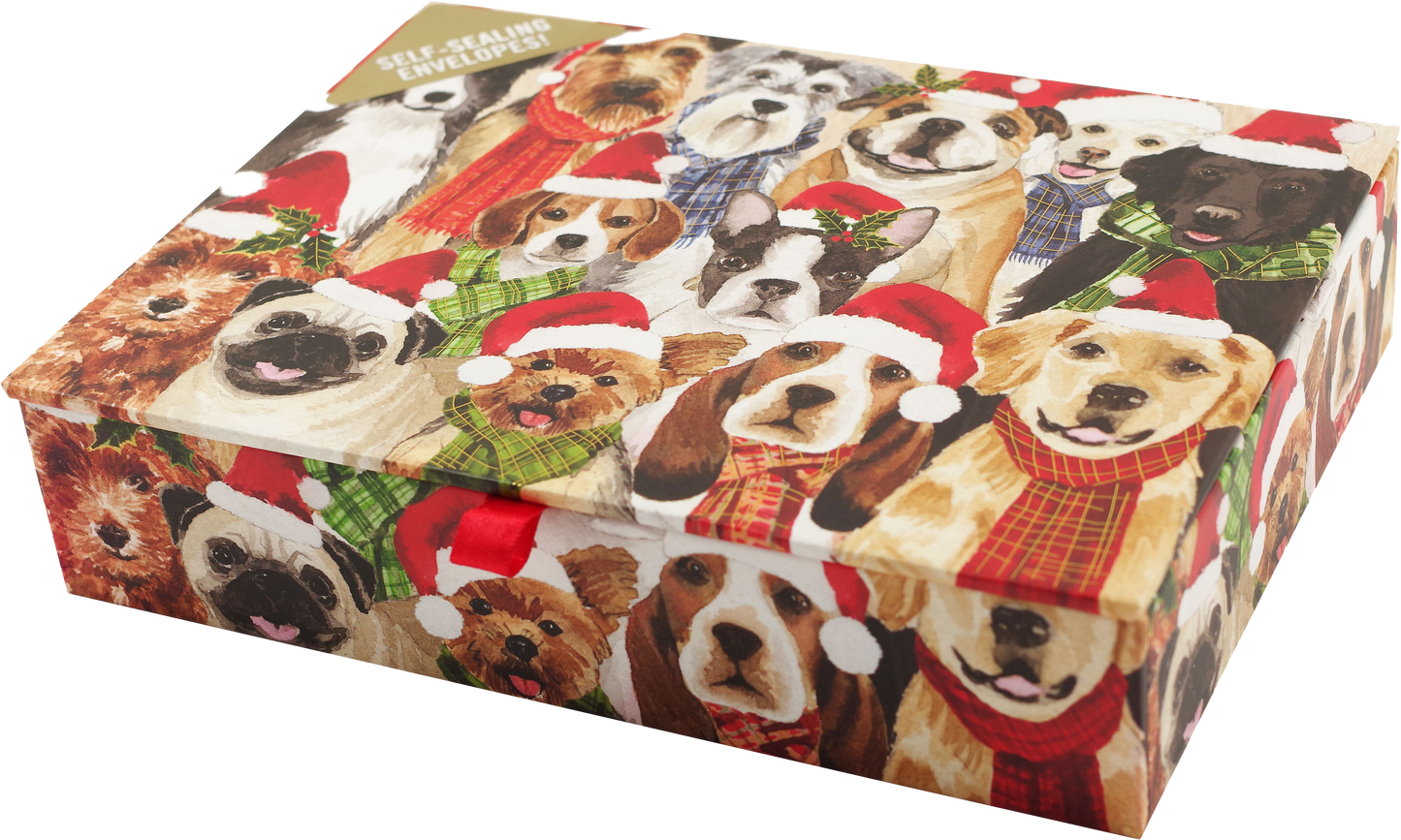 Deck the Dogs Deluxe Boxed Holiday Cards