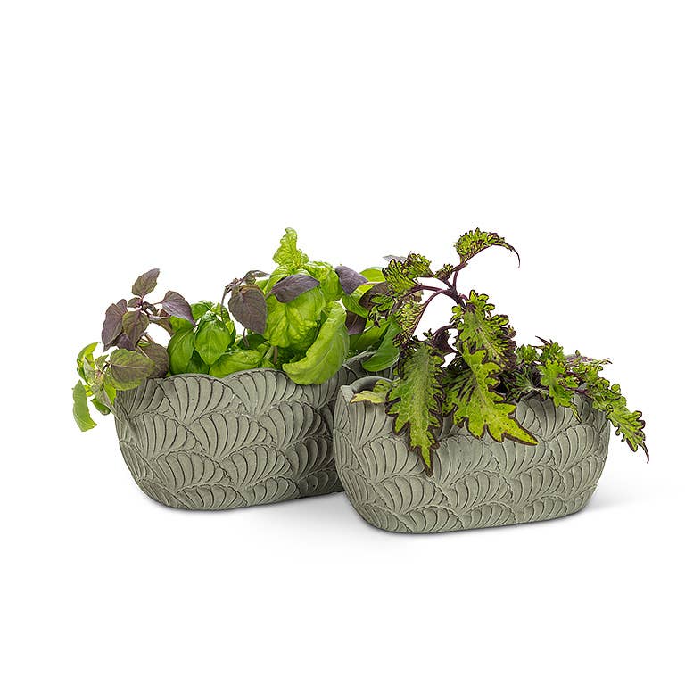 Small Oval Scallop Planter 5x8"