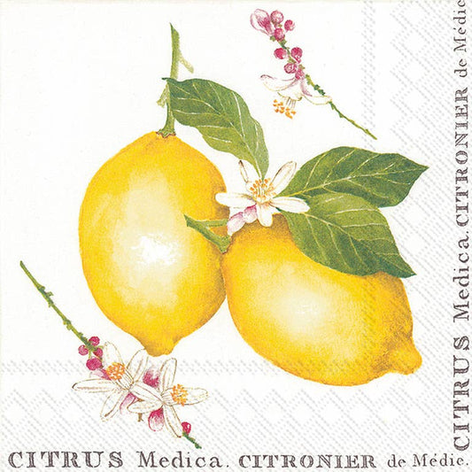 Lemon Citrus Medica Napkin