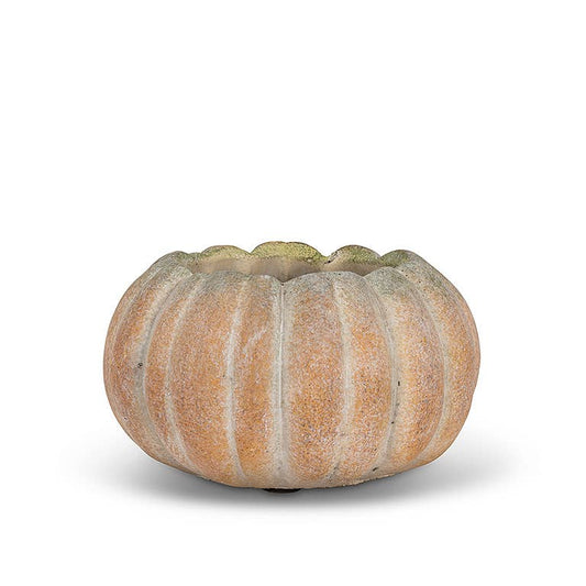 Small Low Pumpkin Planter-5.5"